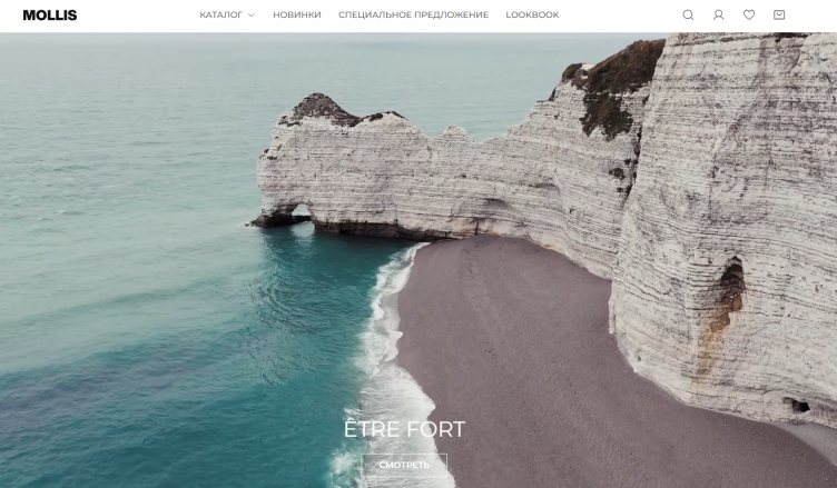 Интернет-магазин Mollis